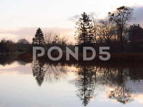 Reflection in water in the evening Stock Photos
