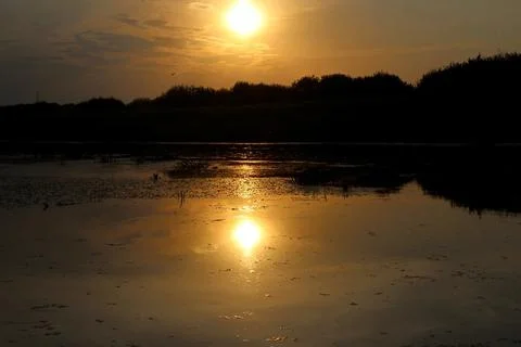Reflection in the water of the evening sun Stock Photos