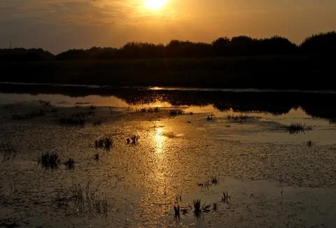 Reflection in the water of the evening sun Stock Photos