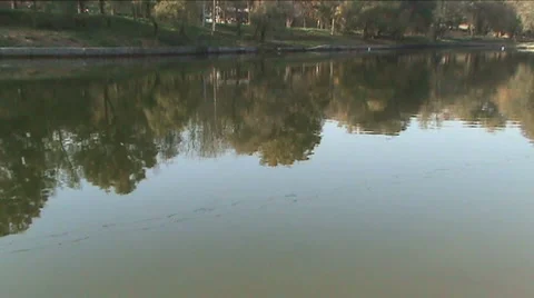 A reflection is in water 스톡 동영상 912693