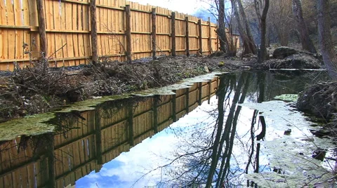 Reflection of Water Stockbeeldmateriaal 995484