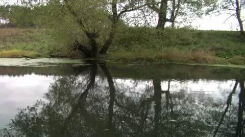 Reflection in the water Stock Footage 8911845