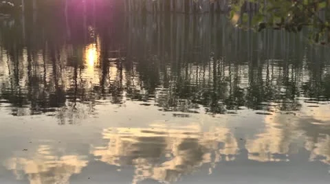 Reflection on the Water Stock Footage 11885403