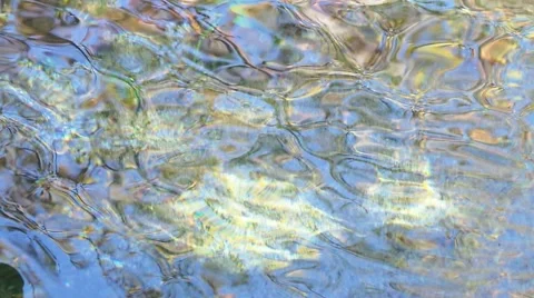 Reflection in the water 库存影片 40007088