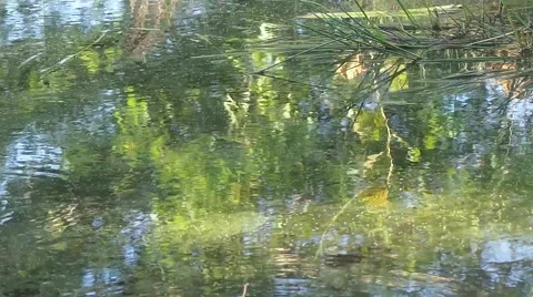 Reflection in the water Stock Footage 50764727