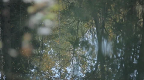 Reflection in Water Stock Footage 59222091