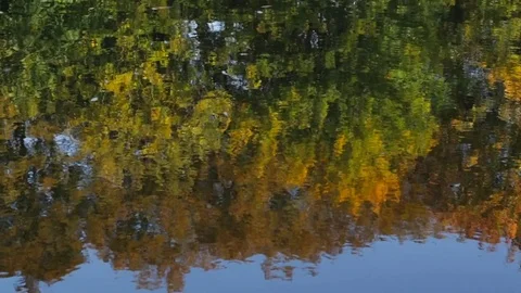 Reflection in water Video stock 81294845