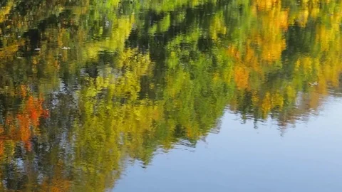 Reflection in water 库存影片 81364188