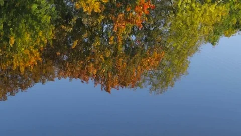 Reflection in water Video stock 84772200