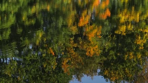 Reflection in water Stock Footage 84772379