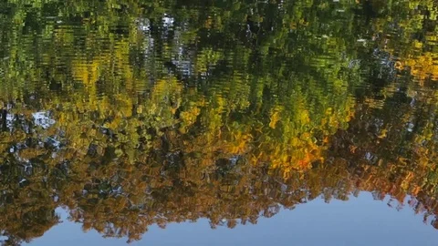 Reflection in water 库存影片 85016157