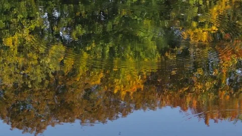 Reflection in water 库存影片 85166963