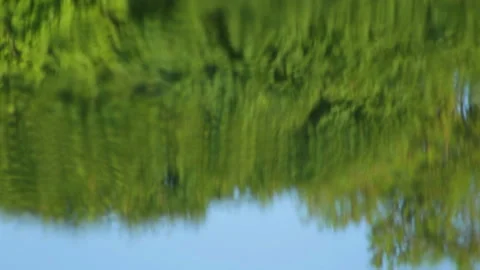 Reflection in water 库存影片 90783541