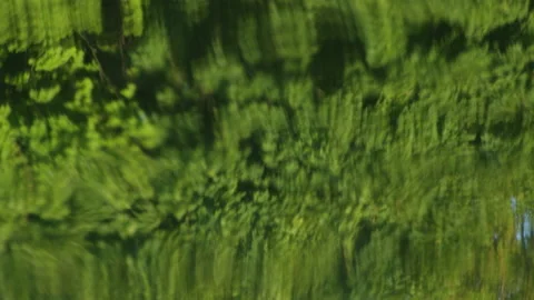 Reflection in water 库存影片 91177821