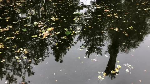 Reflection from water. 스톡 동영상 97387358