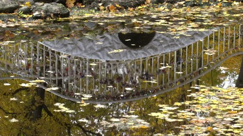 Reflection In Water Video stock 97715302