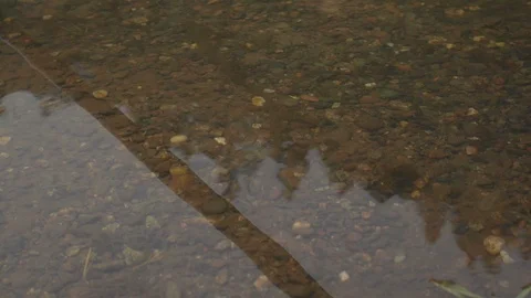 Reflection off of water Stock Footage 103812916