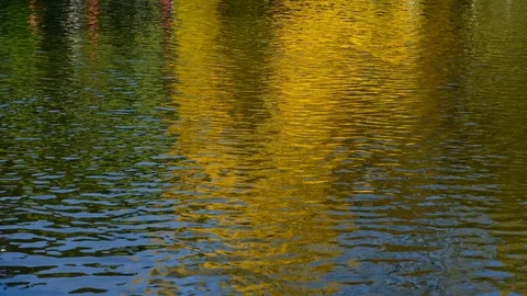 Reflection on the water Stock Footage 123708983