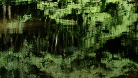 Reflection in the water Stock Footage 126776635