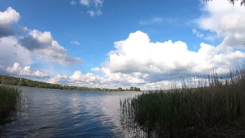 Reflection in water 스톡 동영상 131371774