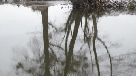 Reflection on the water. 스톡 동영상 146376472