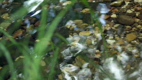 Reflection on Water 스톡 동영상 155561740