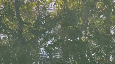 Reflection in water Stock Footage 232015251