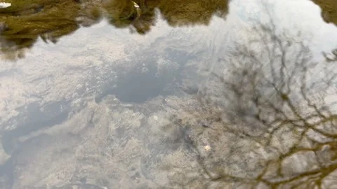 Reflection in water Stock Footage 232035089