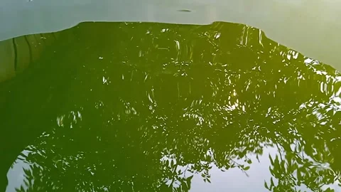 Reflection in water Stock Footage 244602566
