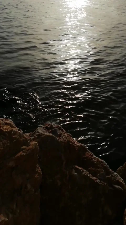 Reflection on the water Video stock 254800607