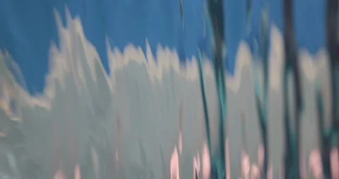 Reflection in water Stock Footage 320446636