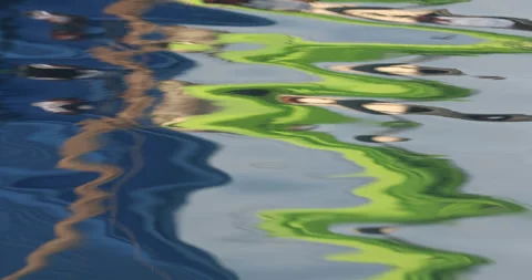 Reflection in water Stock Footage 320447132