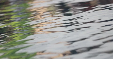 Reflection in water Video stock 320448389