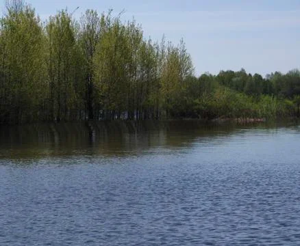 The reflection in the water, the forest on the other side Stock Photos