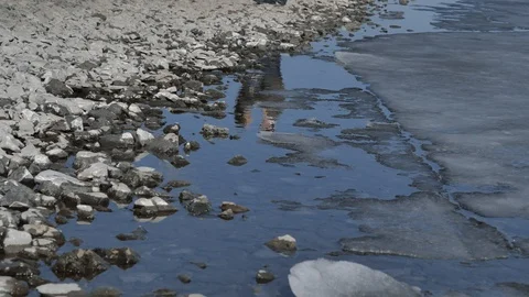 In the reflection of water with ice a young couple cuddles, sunny spring day Stock Footage 124747755