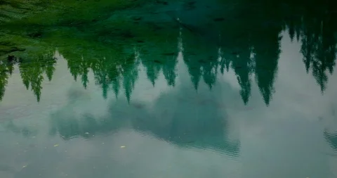 Reflection in the Water, Lake Carezza Stock Footage 115130310