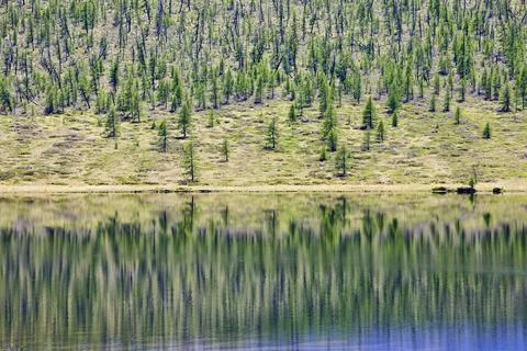 Reflection in the water of a mountain covered with forest and moss Stock Photos