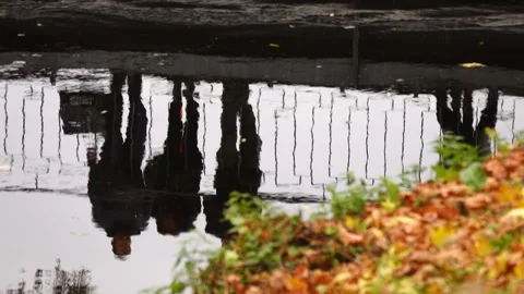 Reflection in water. People stand on bridge in autumn city park. Yellow falle Stock Footage 169873875