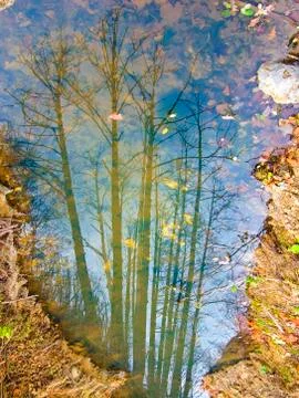 Reflection on water Stock Photos
