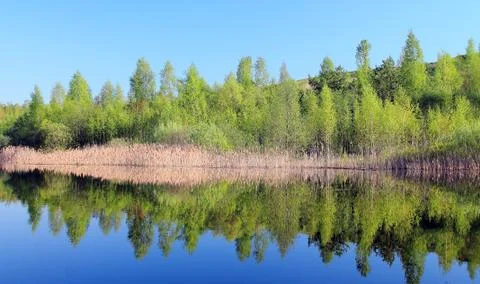 Reflection on water Stock Photos