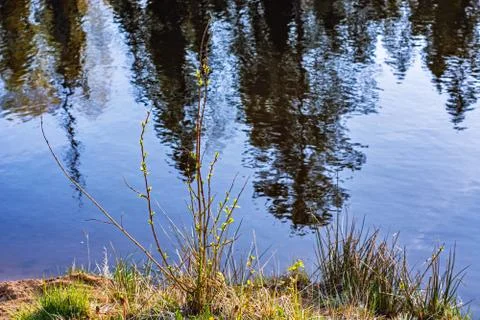 Reflection in water. Stock Photos