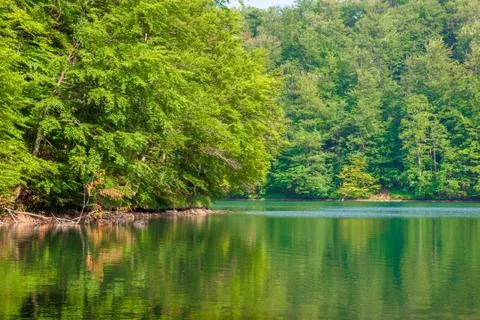 Reflection in the water Stock Photos