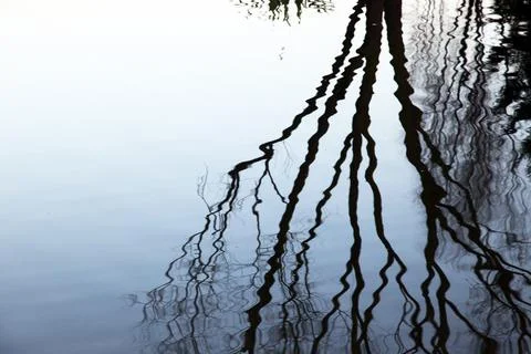 Reflection on water Stock Photos