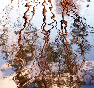 Reflection on water Stock Photos