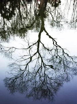 Reflection on water Stock Photos