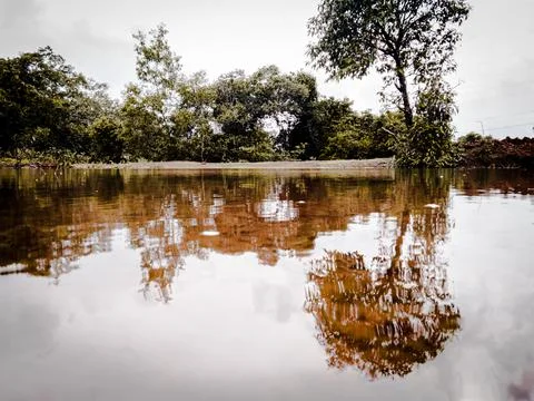 Reflection on water Stock Photos