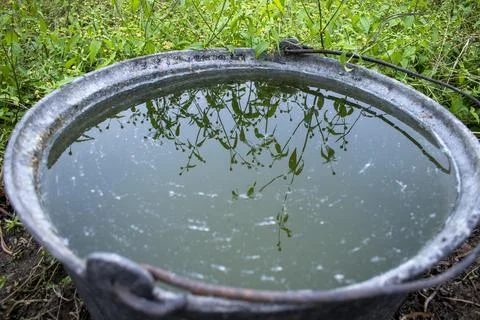 Reflection on the water 库存照片