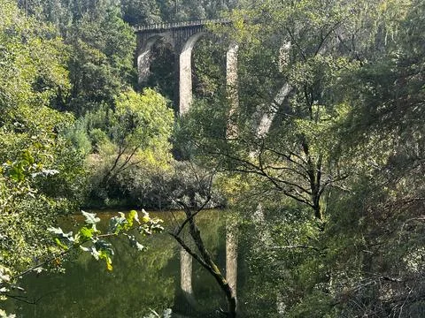Reflection in the water Stockfoto's