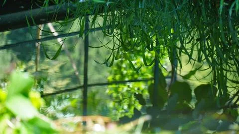 Reflection in the water Stock Photos