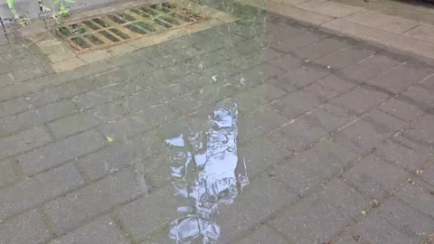 Reflection of water in the puddle near the drain. Summer day Stock Footage 248969447
